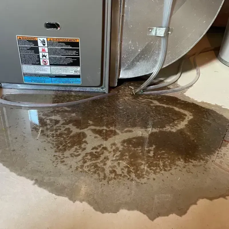 Appliance Leak Cleanup in Firestone, CO